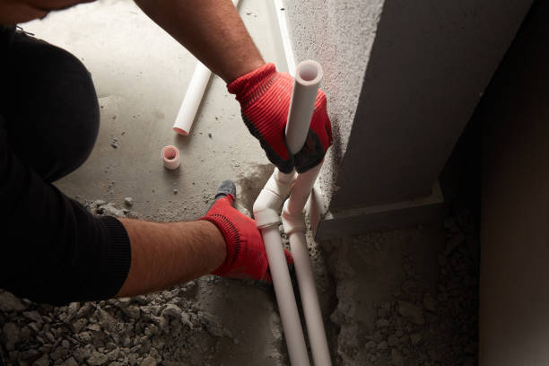 Best Toilet Repair Services  in San Buenaventura, CA